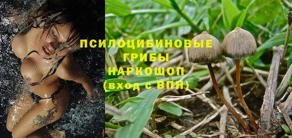 a pvp Арсеньев