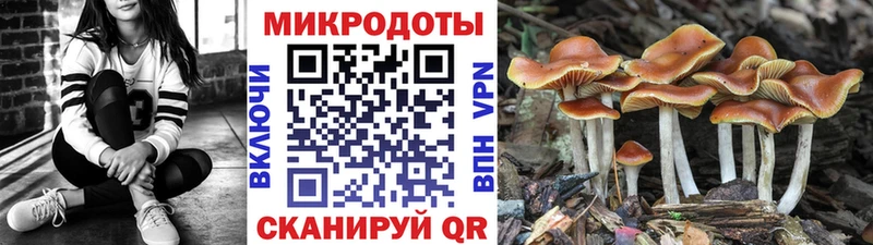 Псилоцибиновые грибы GOLDEN TEACHER  Асбест 