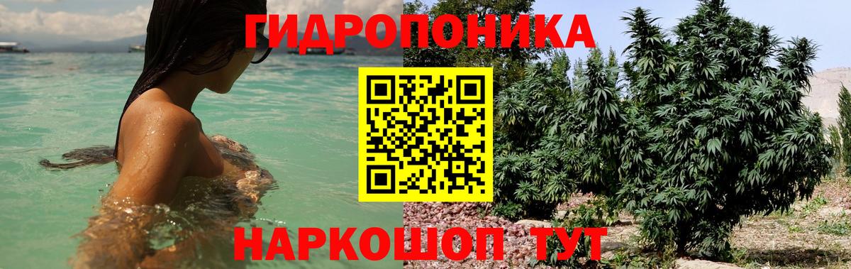 Асбест  Бошки Шишки гибрид  Вход с VPN  МАРИХУАНА конопля  Каннабис сатива 